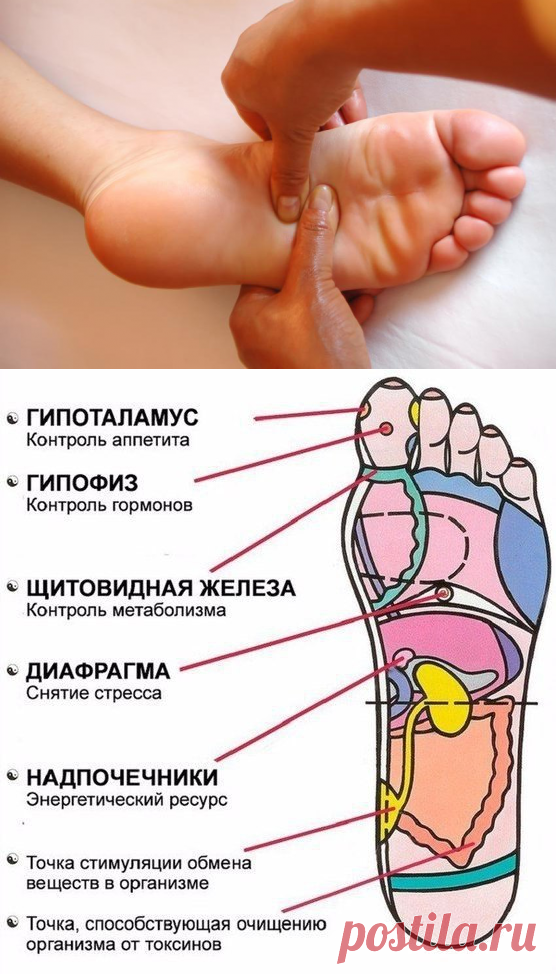 Массаж активных точек на стопах | Делимся советами
