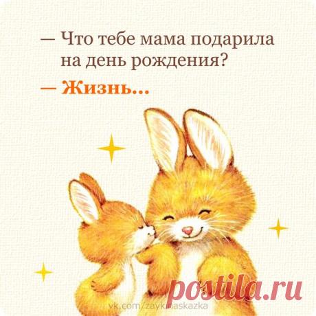 Зайка Развивайка