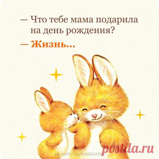 Зайка Развивайка