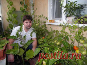 ОГОРОД НА БАЛКОНЕ: НОВЫЙ СЕЗОН!