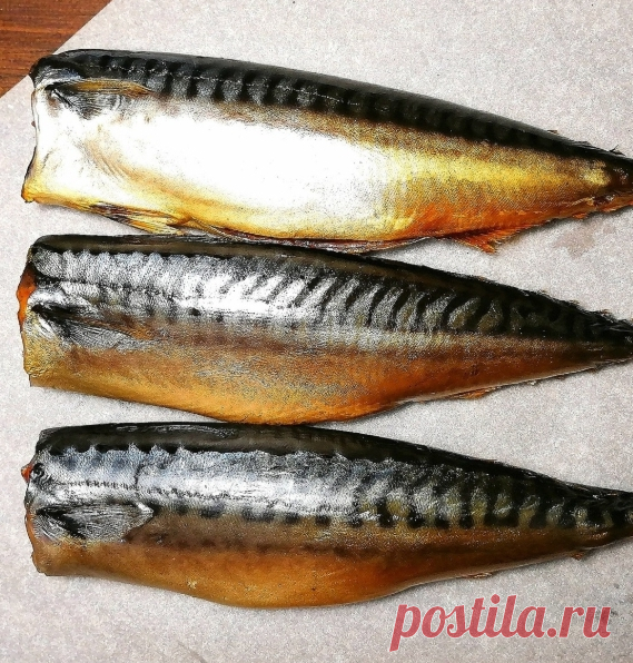 Провесная скумбрия: что это такое, рецепт очень вкусной рыбы в домашних условиях Что такое провесная скумбрия, как правильно приготовить деликатес. Сколько времени хранится подвяленная рыба. Домашний рецепт аппетитного блюда.