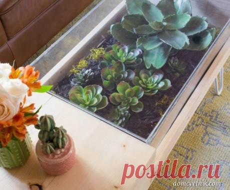 Кофейный столик с террариумом для суккулентов | domcvetnik.com
