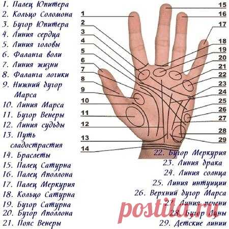 Хиромантия Оренбург