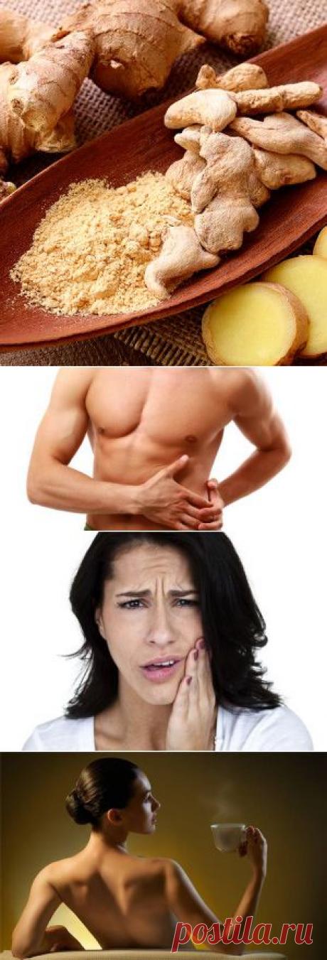 Имбирь для здоровья и красоты — полезные свойства | Красота спасает мир