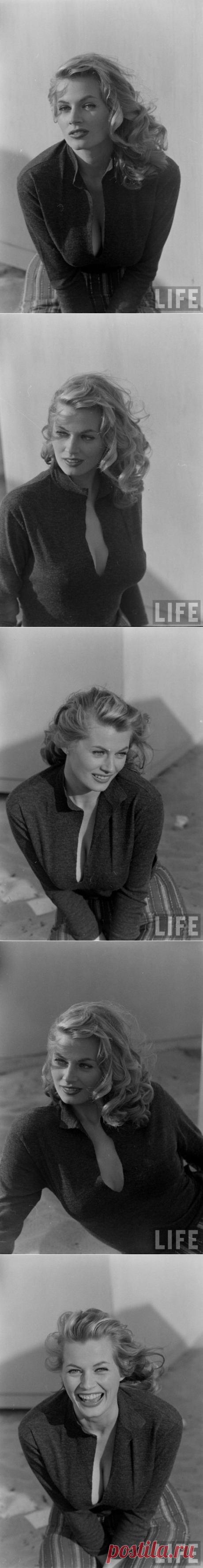 Анита Экберг, 1951 год.