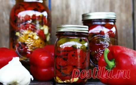 Маринованный перец на зиму: рецепты простых и вкусных заготовок
Маринованный перец – это отличная закуска и вкусное дополнение к салатам, блюдам из мяса и рыбы. Приготовление маринованного перца – процесс несложный и довольно быстрый. А наши простые рецепты пом…