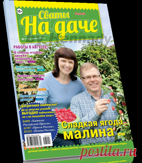 Читать журнал Сваты на даче №7 2018 бесплатно.