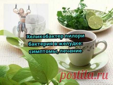Хеликобактер пилори бактерия в желудке: симптомы, лечение