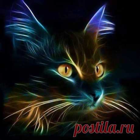 КОТ - который гуляет сам по себе. И только ночью.