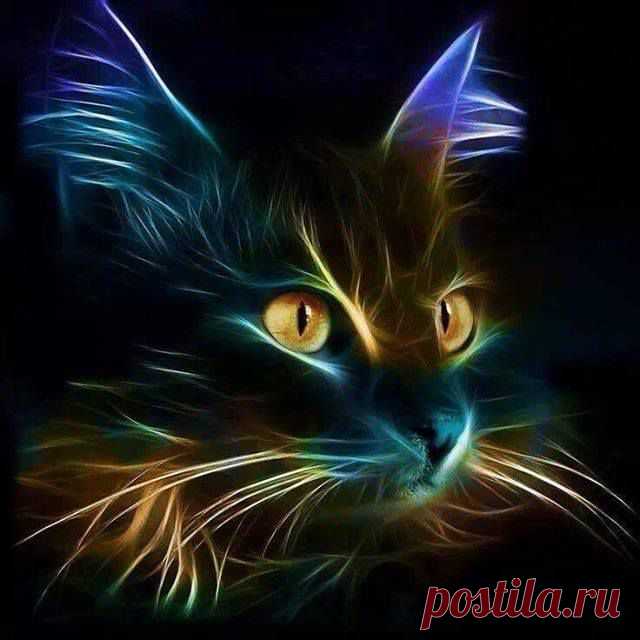 КОТ - который гуляет сам по себе. И только ночью.