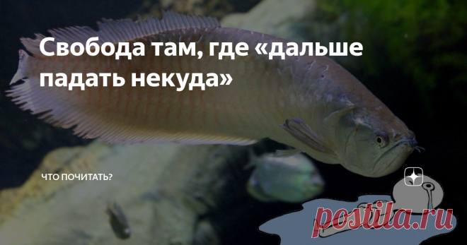 Свобода там, где «дальше падать некуда» Когда кажется, что падать дальше некуда, приходит долгожданный покой, ведь под вами твердая почва, больше ничего плохого произойти не может. В положении «лежа на лопатках» вы совершенно свободны от страха упасть, необходимости, отчаянно кувыркаясь, пытаться ухватиться за что-то, способное удержать на поверхности, на плаву. Всё - прибыли в крайнюю точку, в которой можно не сопротивляться.