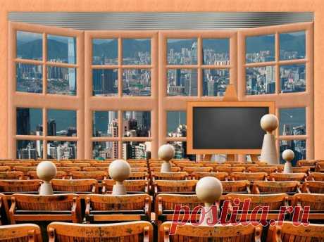 Дипломная практика