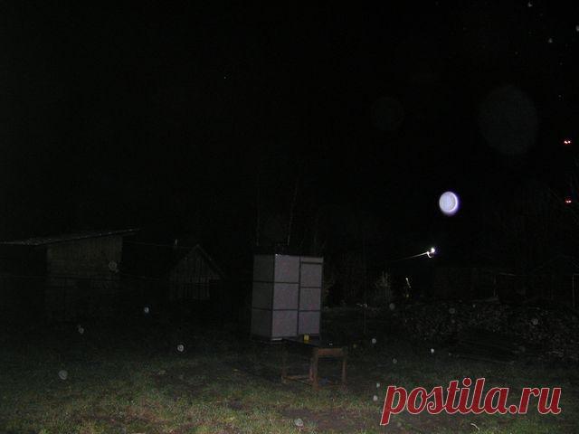 (1) Gallery.ru / Фото #1 - Непонятушки... - Vladikana