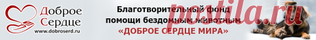 ЗооВетКлуб - Информационный портал о животных
