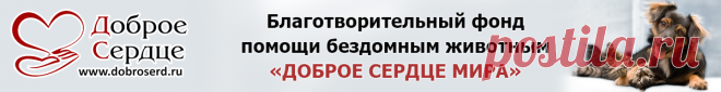 ЗооВетКлуб - Информационный портал о животных