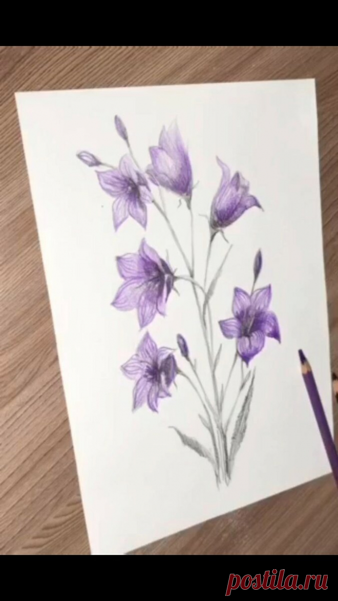 Как нарисовать колокольчик простым карандашом