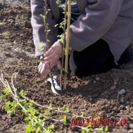 Два мордоворота из крутого джипа решили пописать на старенький ВАЗ. Ну, пописали... - МирТесен