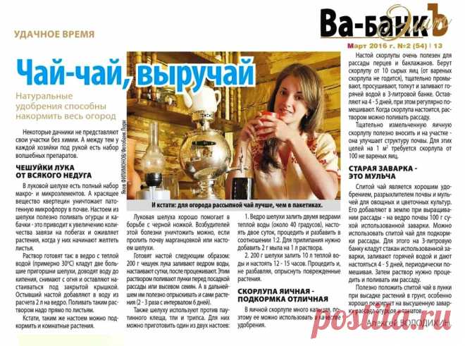 Натуральные удобрения для дачи