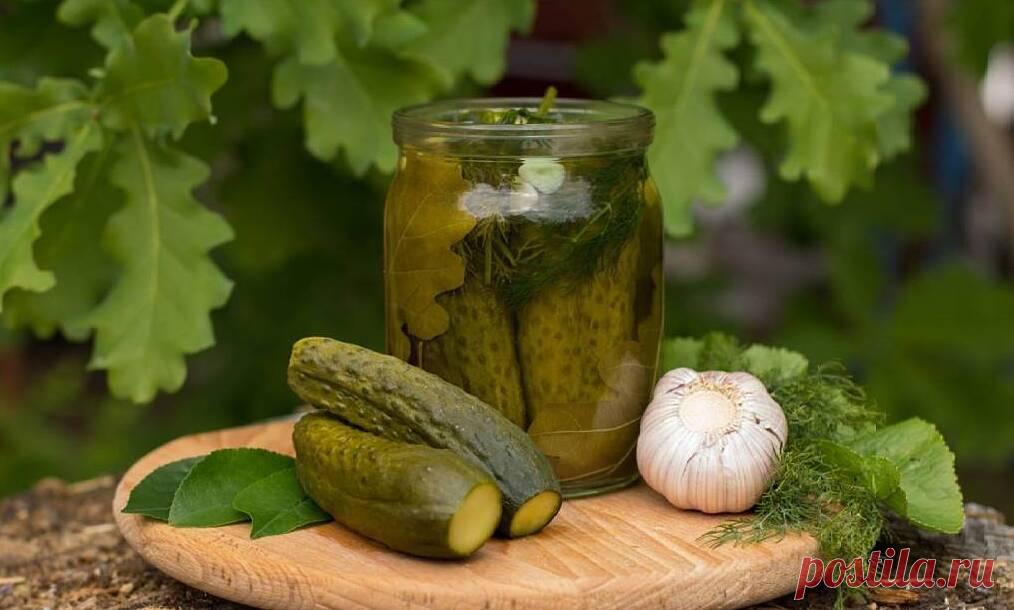 маринованные огурцы на зиму без уксуса