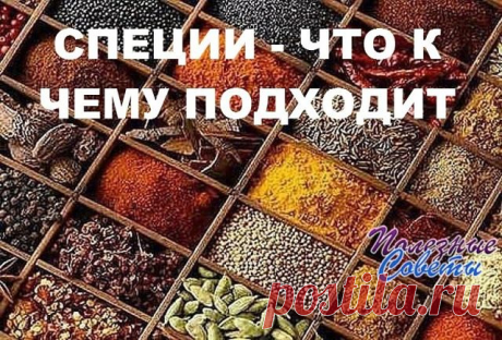 СПЕЦИИ – ЧТО К ЧЕМУ ПОДХОДИТ

ДЛЯ МЯСА: красный, черный, душистый перец или гвоздика, майоран, тимьян, тмин, куркума, лук, орегано.

ДЛЯ ПТИЦЫ: тимьян, майоран, розмарин, шалфей, чабрец, базилик.

ДЛЯ РЫБЫ: лавровый лист, белый перец, имбирь, душистый перец, лук, кориандр, перец чили, горчица, укроп, тимьян.

ДЛЯ ГРИЛЯ: красный перец, душистый перец, кардамон, тимьян, майоран, мускатный орех и мускатный цвет, тмин, имбирь, перец чили.

ДЛЯ ДИЧИ: тимьян, душица обыкновенная...