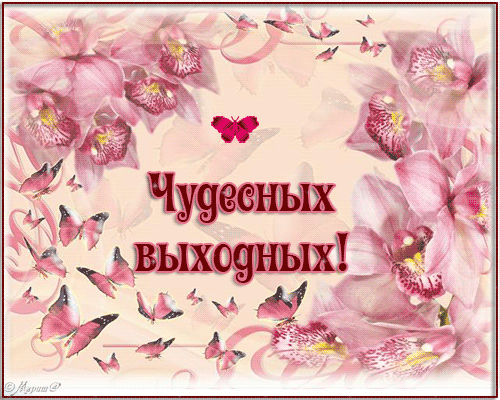 Фотографии Стихи, музыка, романтика - 4043 фото в Моем Мире.