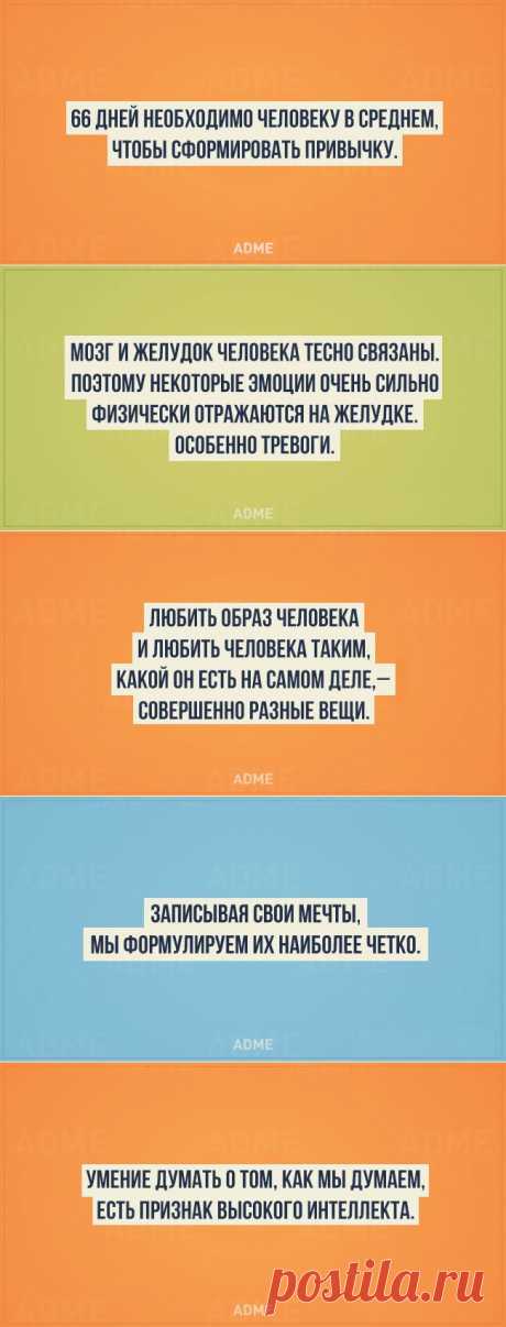 20 ценных фактов из психологии
