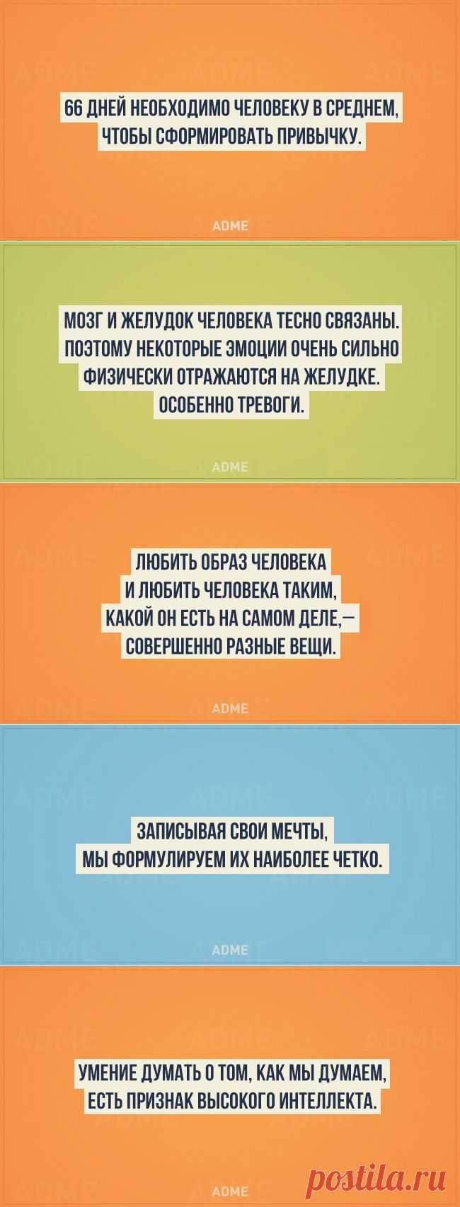 20 ценных фактов из психологии