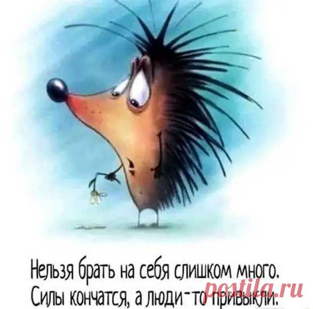 Свежая подборка шуточек - Смехотерапия - 27 марта - 43679723611 - Медиаплатформа МирТесен