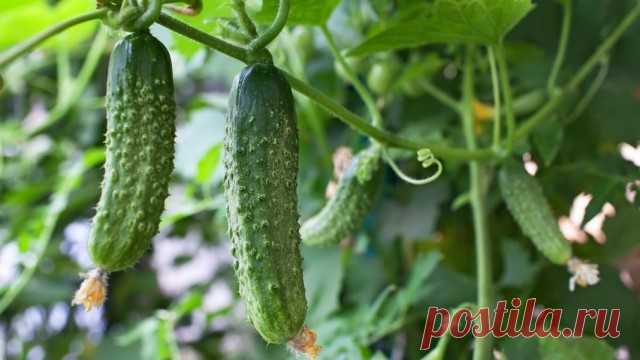 Новости - МирТесен