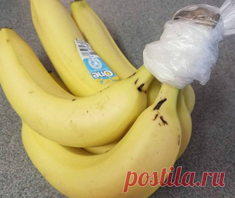 9 хитростей, как продлить срок хранения продуктов и содержать вещи в порядке