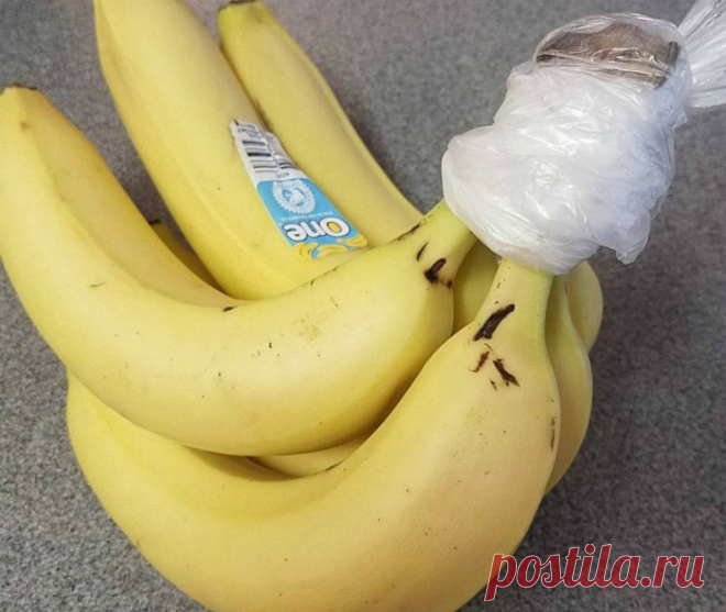9 хитростей, как продлить срок хранения продуктов и содержать вещи в порядке