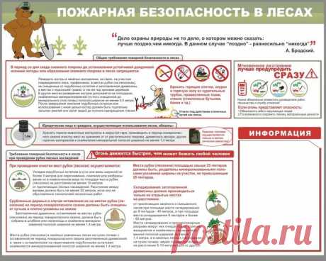 Дачники теперь обязаны обеспечивать пожарную безопасность на лесных участках