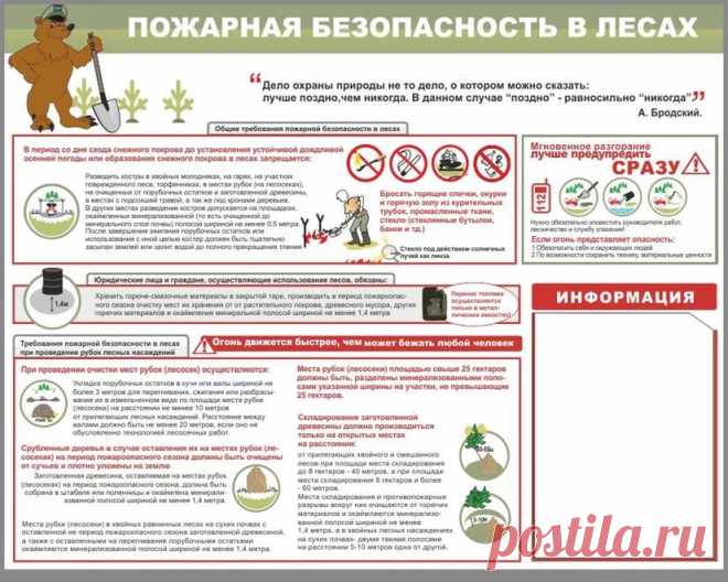 Дачники теперь обязаны обеспечивать пожарную безопасность на лесных участках