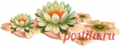 разные красивые детали на прозрачном фоне: 19 тыс изображений найдено в Яндекс.Картинках