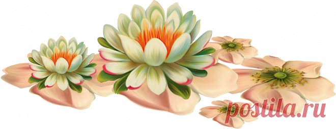 разные красивые детали на прозрачном фоне: 19 тыс изображений найдено в Яндекс.Картинках