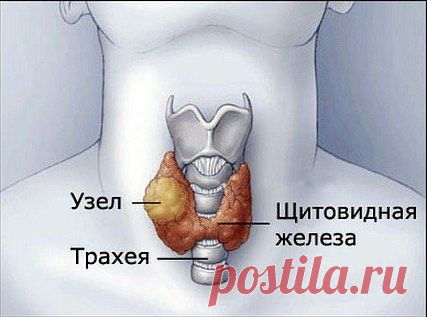 Мамам, женщинам, бабушкам и очень любознательным.