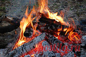 Какая зола имеет целебные свойства? Рецепты народных целителей! | Народная медицина