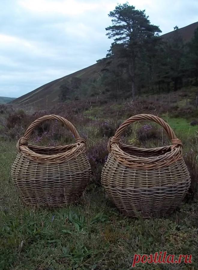 Сохранённые фотографии Ольги – 668 фотографий