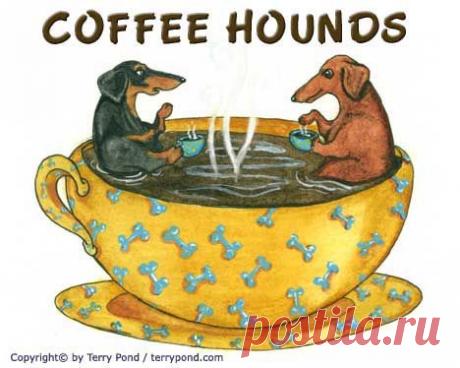 Найдено на сайте terrypond.com.