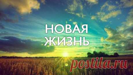 Интересно о дне рождении