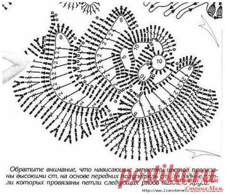 Ирландские кружева розы-схемы