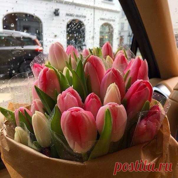 Ожидайте только хорошее,
Предвкушайте прекрасное,
Открывайте новое…
Не разрешайте себе плохое настроение,
Пусть Вас окружает много Радости,
Счастья, Улыбок и Любви! 
Вот и ещё один день уже улыбается!
Какое счастье!
Ищите в каждом дне доброе, тёплое, хорошее...
Тогда и жизнь приобретёт такие же краски.
САМОГО ДОБРОГО УТРА !