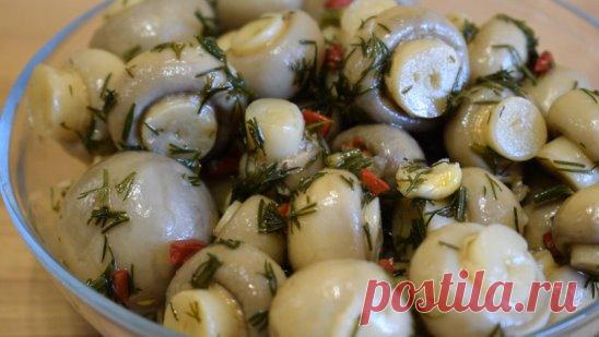 Беспроигрышная закуска на праздничный стол. Быстрые маринованные шампиньоны по-домашнему.
Все любят вкусные маринованные грибочки! Такая аппетитная закуска всегда желанна на любом праздничном столе, да и не только, а если вы думаете, что их приготовление - это довольно сложный процесс, то сегодня я вам покажу, насколько это просто и быстро! Конечно, если не учитывать время настаивания грибочков, то на их приготовление у вас уйдет буквально 15 минут! Прелесть этой закуски в...