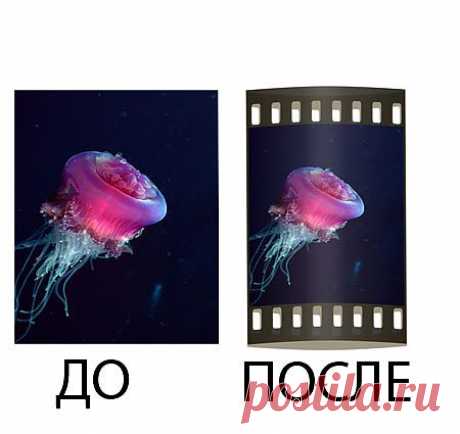 Скачать Экшен - BBfilmstrip35mm