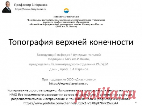 (1) Топография верхней конечности. - YouTube