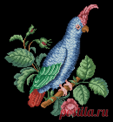 Blue cockatoo parrot vintage cross stitch by MagicOfNeedle