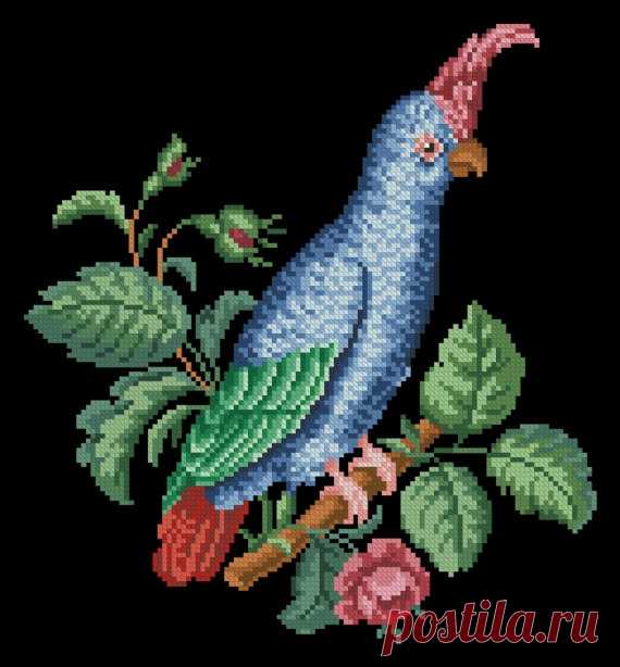 Blue cockatoo parrot vintage cross stitch by MagicOfNeedle