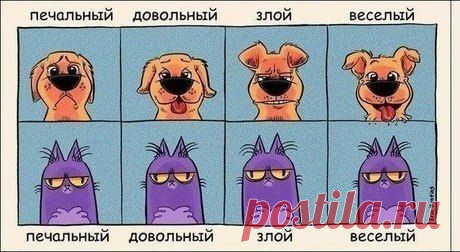 Мой Мир@Mail.Ru
