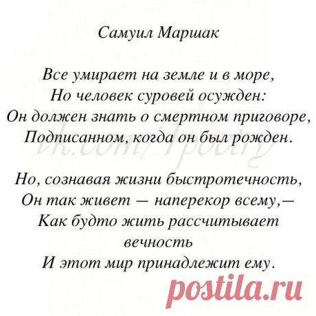 Интересные новости