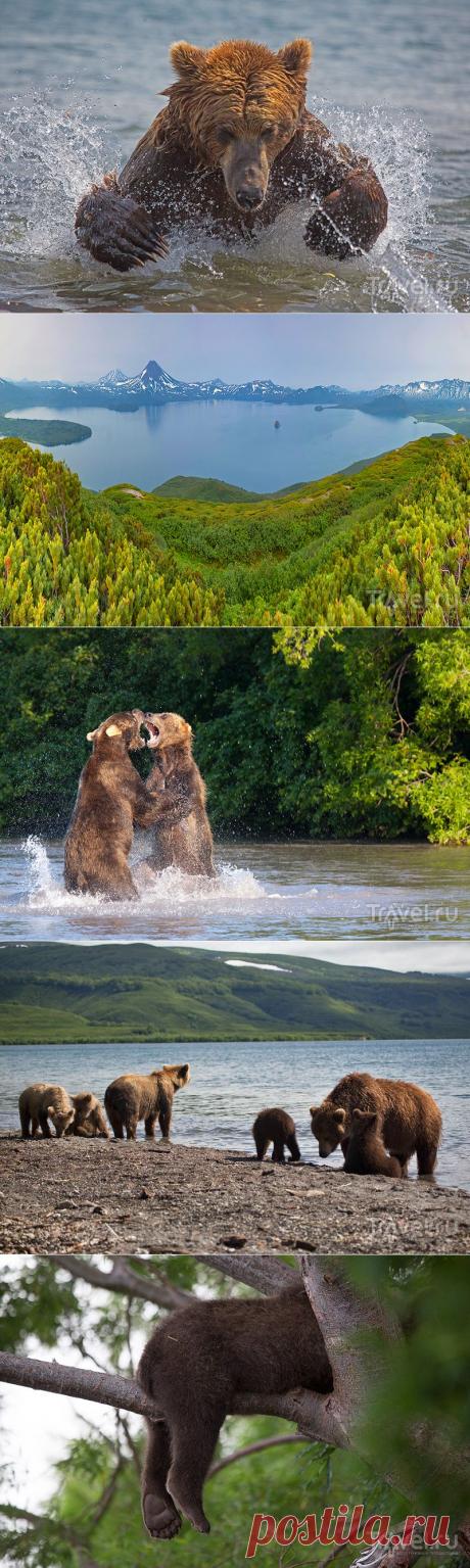 Камчатка. Земля медведей | Города и страны